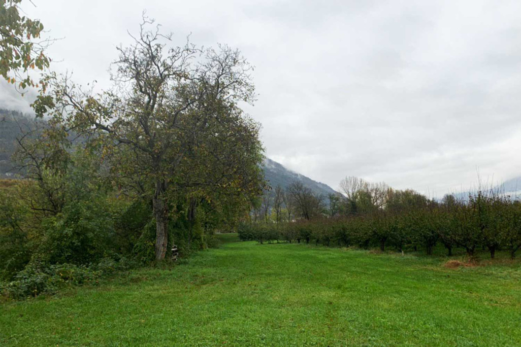 Chur GR, Areal Kleinbruggen, Photogrammetrie, HMQ AG, HMQ AG