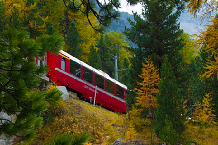 Steinschlagschutz RhB