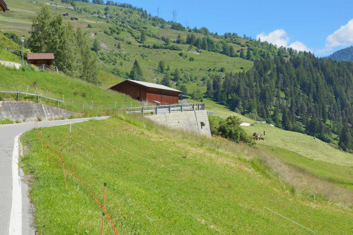 Schamserbergstrasse